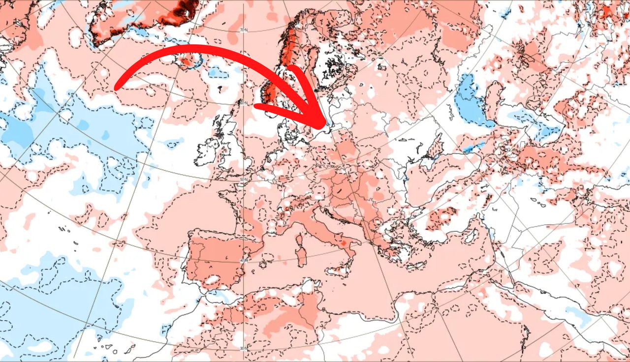 To czeka Polskę. Synoptycy z Rosji ogłaszają ws. czerwca