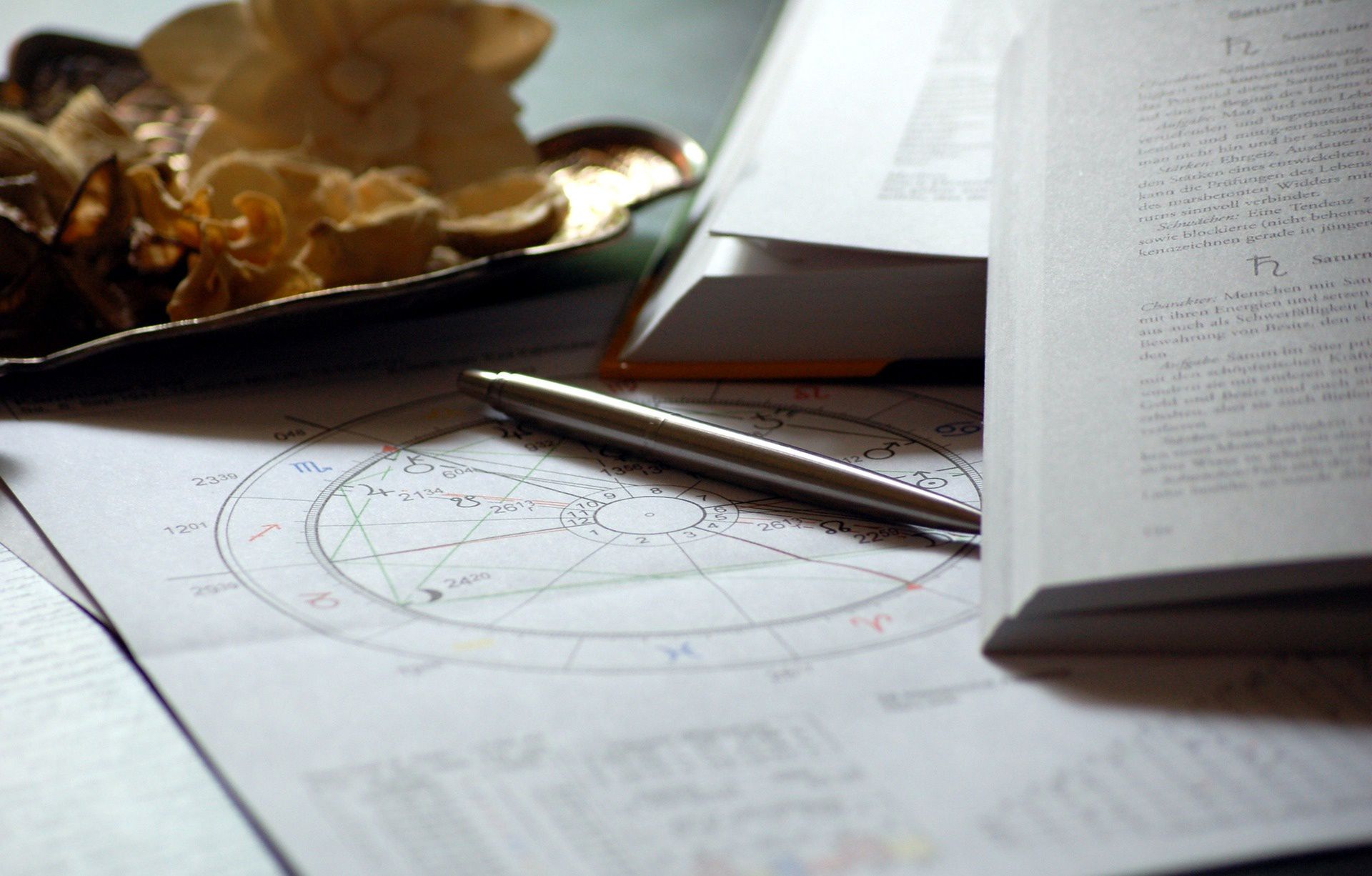 Horoskop na 2024