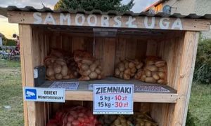 Nietypowy pomysł rolnika z Rybnika. Postawił budkę samoobsługową