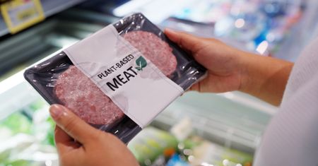 Wegańskie burgery i mleko roślinne pod lupą. Toksyna uszkadza nerki i wątrobę