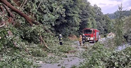 O krok od tragedii. Kilkanaście drzew zawaliło się na drogę