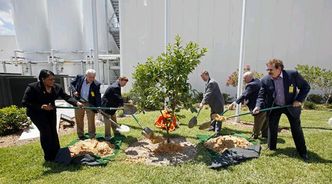 Skuteczne CSR, czyli jak sadzenie drzew może pomóc firmie