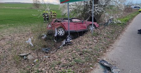Tragiczny wypadek koło Zgorzelca. Nie żyje 17-letnia pasażerka Audi