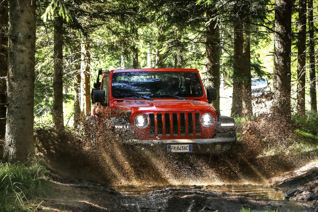 Jeep Wrangler w swoim naturalnym środowisku