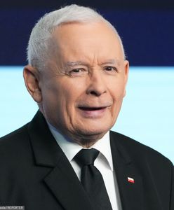 "Karma dla bezdomnych zwierząt". Spółka Srebrna ujawniła swoje finanse za 2024 rok
