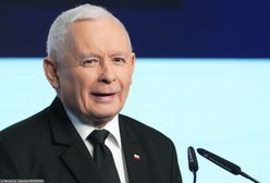 "Karma dla bezdomnych zwierząt". Spółka Srebrna ujawniła swoje finanse za 2024 rok