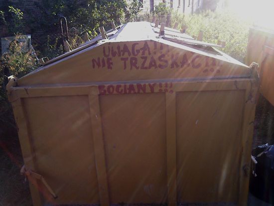 Obraz