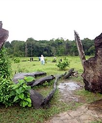 Archeolodzy odkryli starożytną budowlę w Amazonii