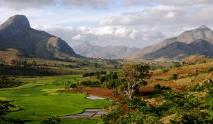 Madagaskar. Co zobaczyć i jak się przygotować na wyjazd?