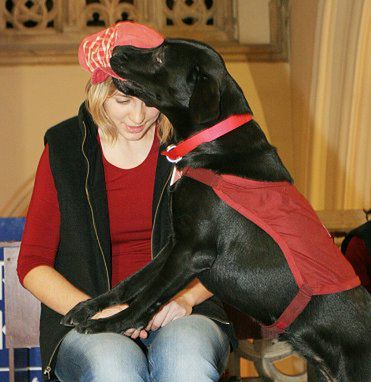 Psy serwisowe pomagają niepełnosprawnym