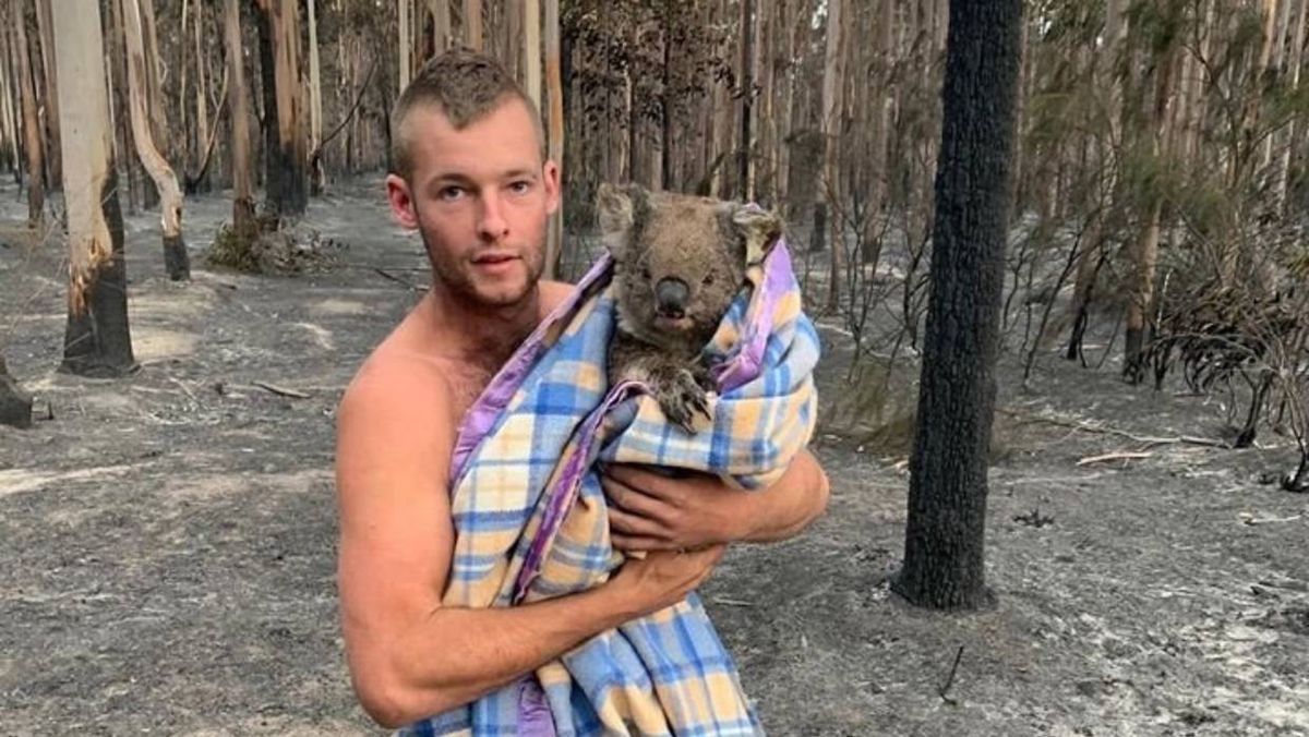 Australia. 22-latek bohaterem. Ratuje koale z płonącego lasu