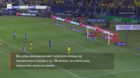 #dziejesiewsporcie: Ależ to był gol! Można oglądać i oglądać