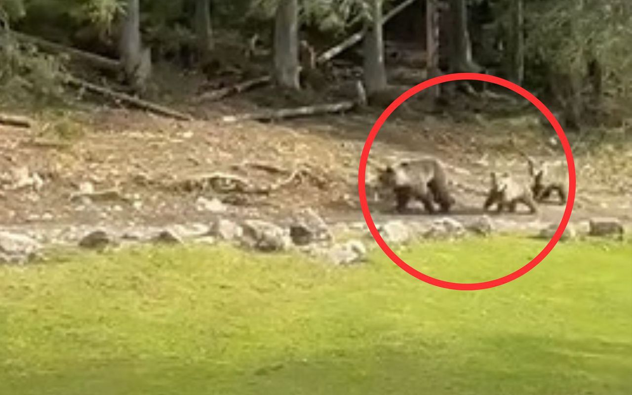 Nagranie z Tatr. Tak zachowali się turyści. "Luzik"