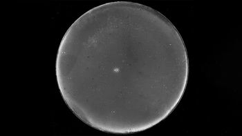 Po 171 latach obalono hipotezę. Wokół 70 Ophiuchi nie krąży planeta
