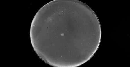 Po 171 latach obalono hipotezę. Wokół 70 Ophiuchi nie krąży planeta