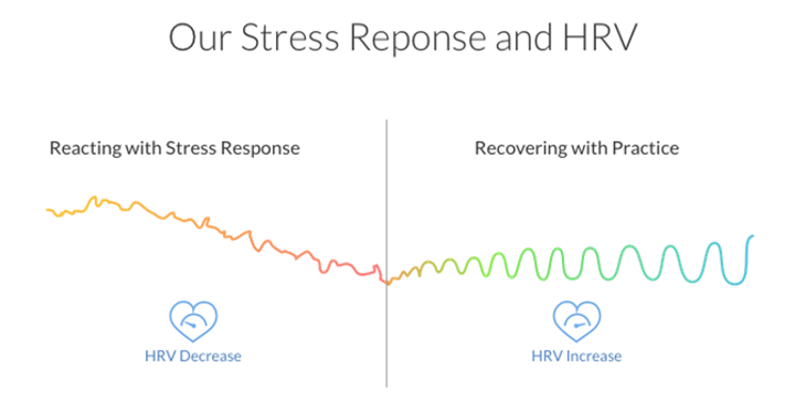Niski wynik HRV w sytuacji silnego stresu, a następnie skutek zastosowania się do rytmu urządzenia Lief.