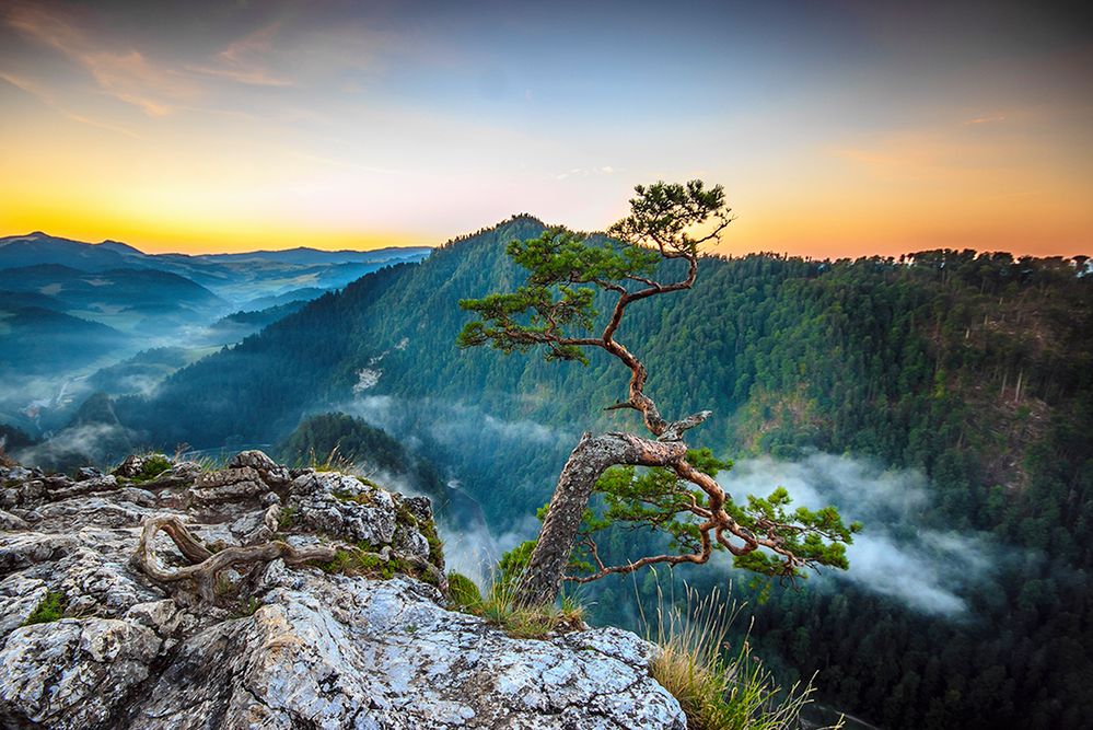 Miłością fotografki są Tatry, a jej największym marzeniem jest spędzenie późnych lat w bacówce na Podhalu, gdzie w końcu zazna spokoju od zgiełku Krupówek.