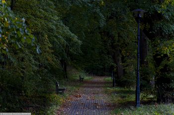 Postawili ławkę za 120 tys. zł. Burmistrz wyjaśnia, skąd wzięto pieniądze