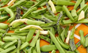 W sezonie zajadamy się nią bez opamiętania. Ma w sobie groźną toksynę