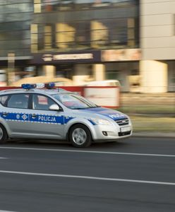 Obława na Dolnym Śląsku. Padły strzały