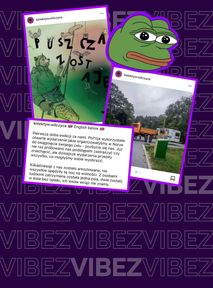 "Wilczyce", broniące bieszczadzkich drzew, zatrzymane przez policje. "Grożono nam bronią, uderzano w twarz"