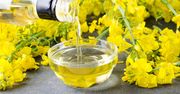 Olej rzepakowy. Absolutny must have w każdej kuchni