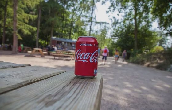 WPP globalnym partnerem reklamowym koncernu Coca-Cola