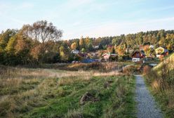 Dwie kuzynki wyłudziły ponad ćwierć miliona dopłat unijnych. "Wpadły" przez rolnika