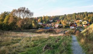 Dwie kuzynki wyłudziły ponad ćwierć miliona dopłat unijnych. "Wpadły" przez rolnika