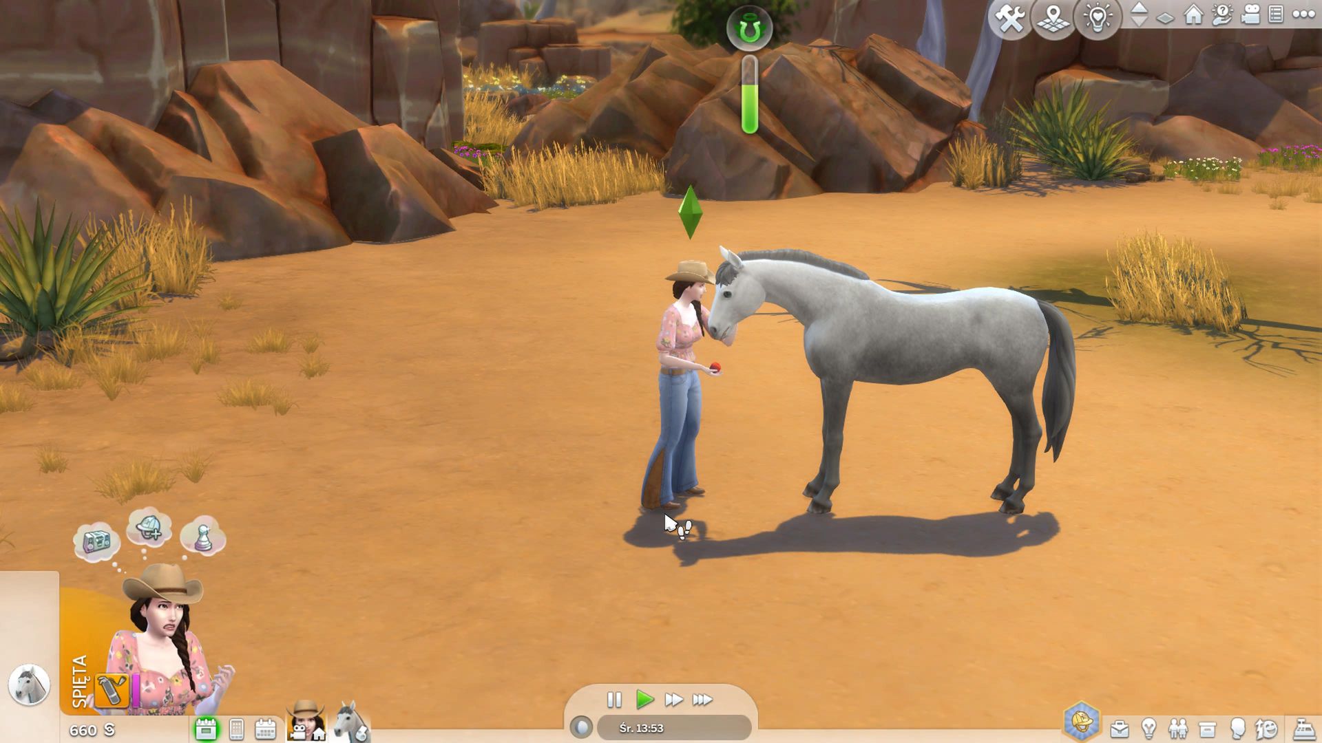 The Sims 4 Ranczo