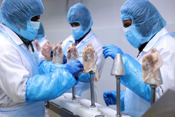 Spór o polskie kurczaki przybrał na sile. Chiny podjęły decyzję, branża mówi o odwecie