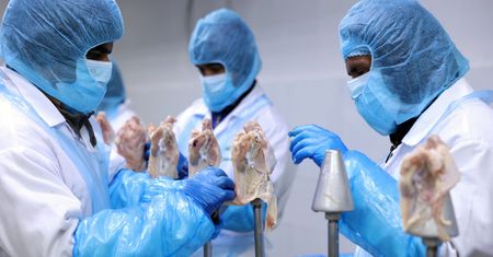 Spór o polskie kurczaki przybrał na sile. Chiny podjęły decyzję, branża mówi o odwecie