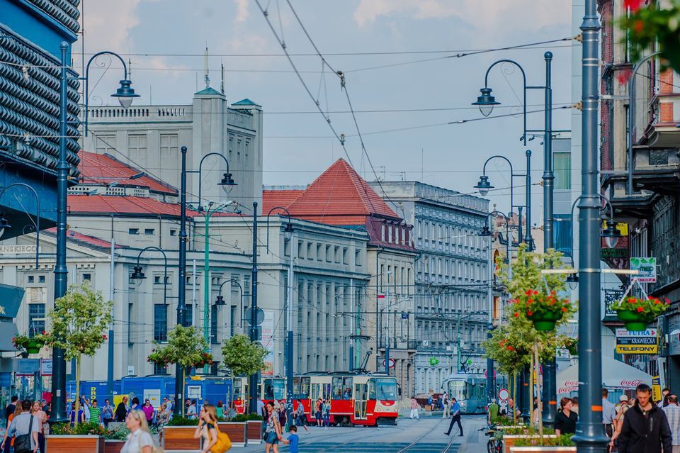 Katowice. Ma być zielono i estetycznie. Miasto wymienia zieleń w centrum