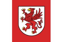grafika
