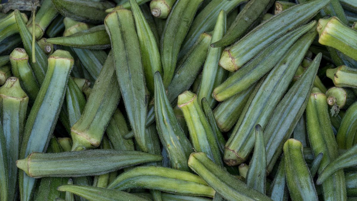 Okra