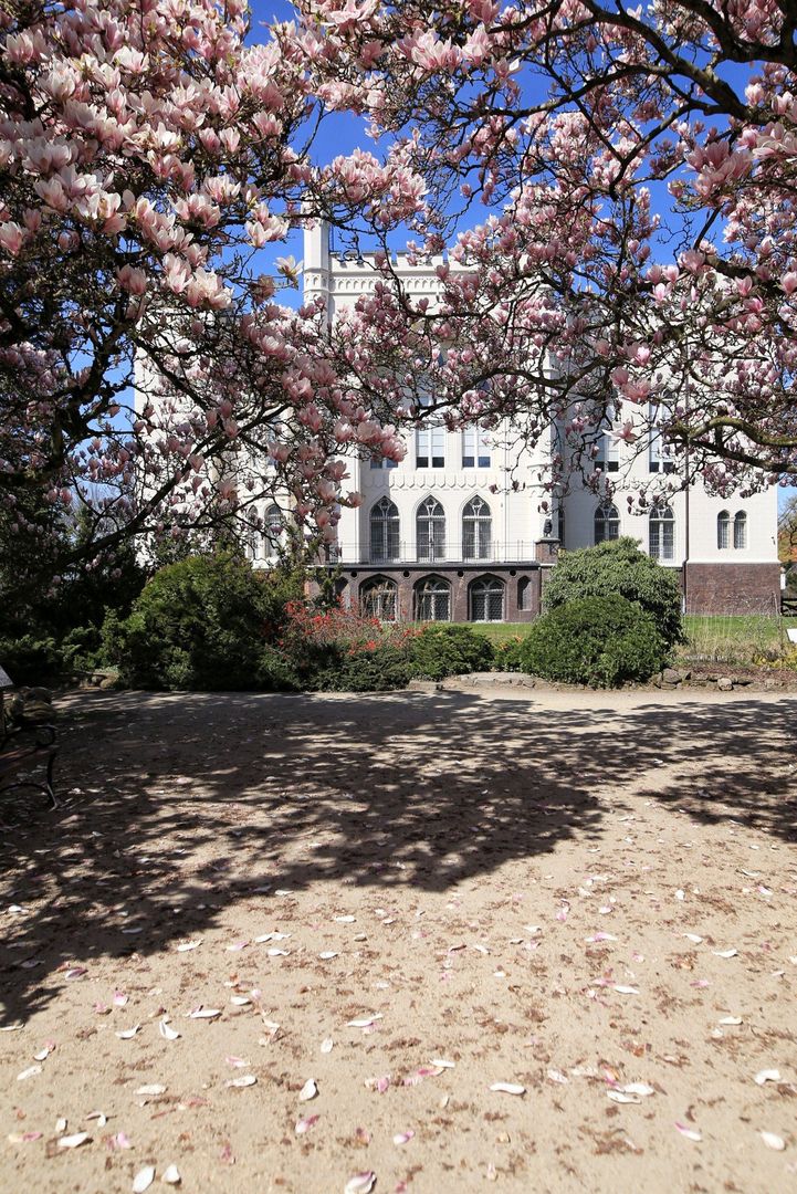 Zamek w Kórniku i jego rozległe arboretum to jedne z najbardziej popularnych miejsc wśród turystów z Poznania i pobliskich okolic. W obrębie zamku znajduje się interesujące muzeum oraz Biblioteka Kórnicka, powstała już w 1828 roku. Obecnie jest to jedna z pięciu największych bibliotek tego rodzaju w Polsce.Natomiast Arboretum Kórnickie to jedno z największych parków dendrologicznych w Europie Środkowej, oferujące imponującą kolekcję około 3000 gatunków i odmian drzew oraz krzewów, w tym niezwykle imponujące lipy drobnolistne liczące sobie około 300 lat.