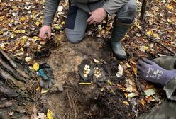 Skarb ze Szczecina. Odnaleziono złote monety warte 120 tys. złotych