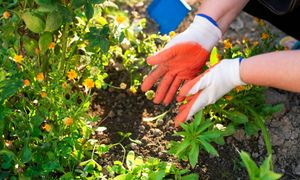 Ceny nawozów w górę przed sezonem. Ile zapłacimy wiosną 2026?