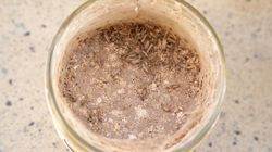 To prawdziwy "kiler" na mole. Szybko wyprowadzą się z kuchni