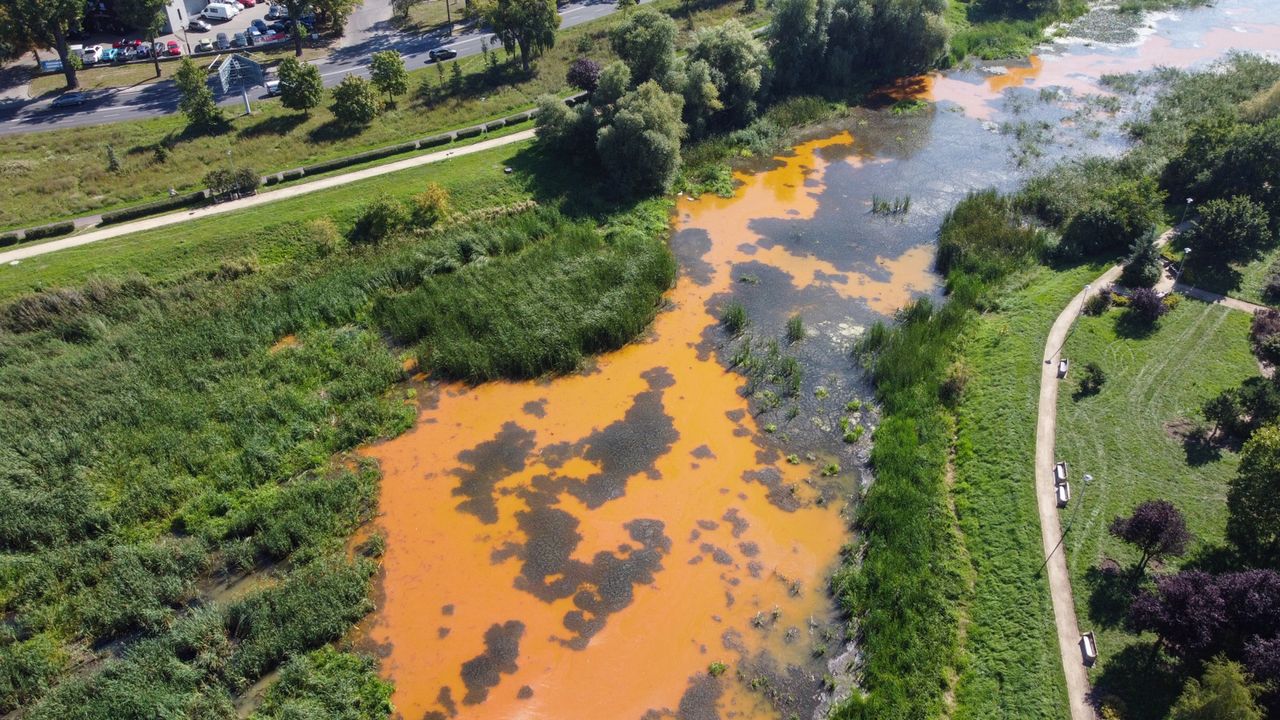 Widok na Jezioro Słoneczne z lotu ptaka  