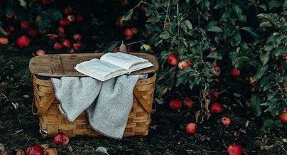 Vizeum obsługuje mediowo firmę Bracia Sadownicy