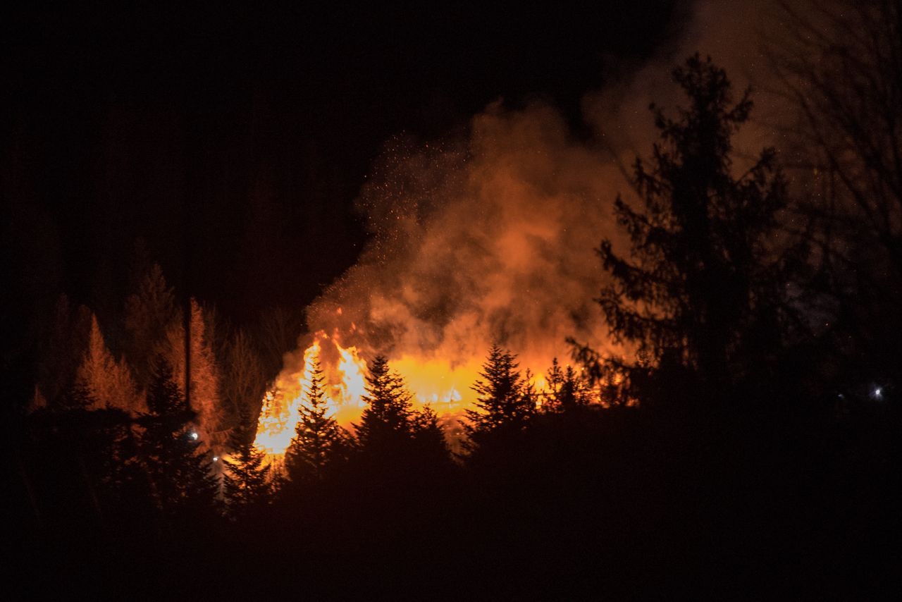 Strażacy walczą z pożarem Biebrzańskiego Parku Narodowego. Akcję utrudnia susza i silny wiatr