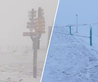 Jest nagranie ze Śnieżki. Skrajnie trudne warunki