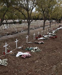 Dramatyczna statystyka. Śmiertelne żniwo koronawirusa w Europie