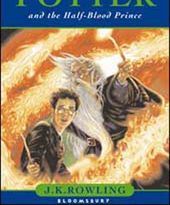 Harry Potter dla niewidomych dzieci