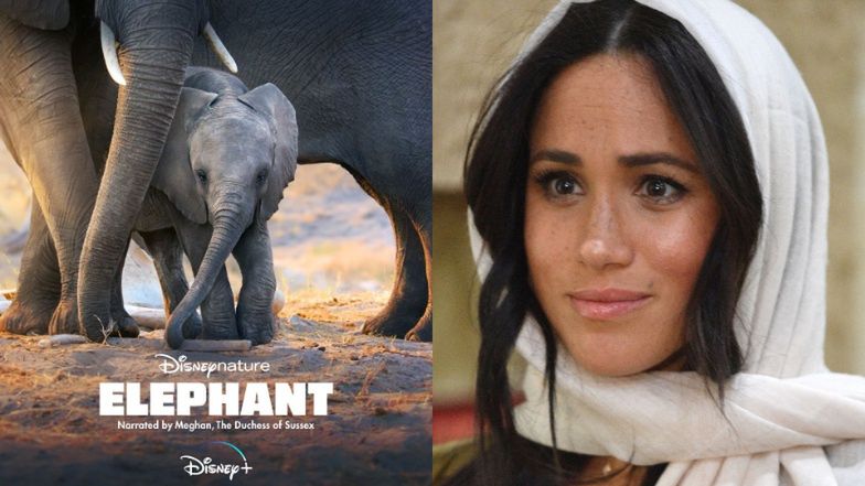 Meghan Markle, "Elephant"