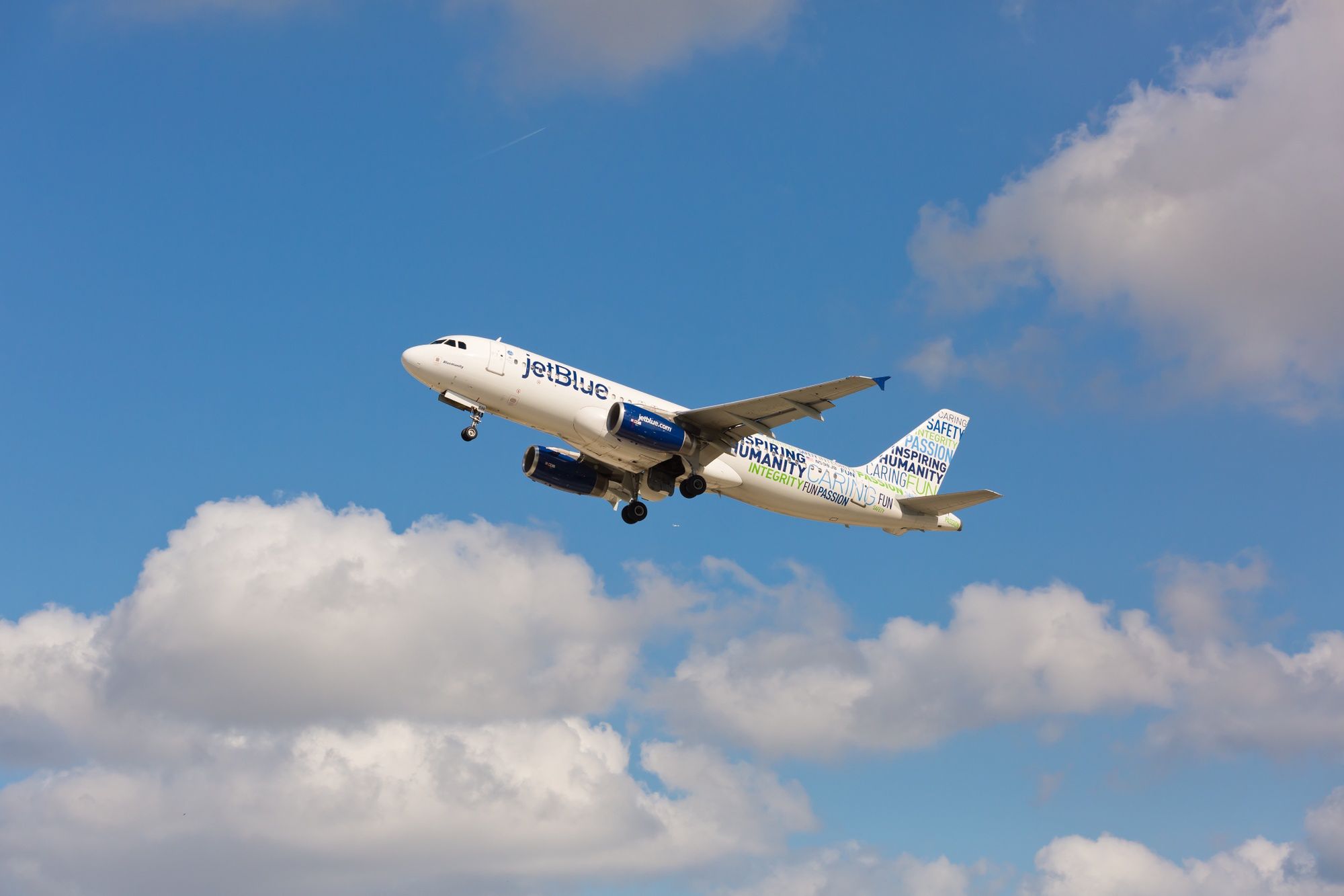 Gwiazdor leciał samolotem linii JetBlue