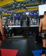 Całodniowa transmisja z 9. Mistrzostw MMA dostępna w internecie