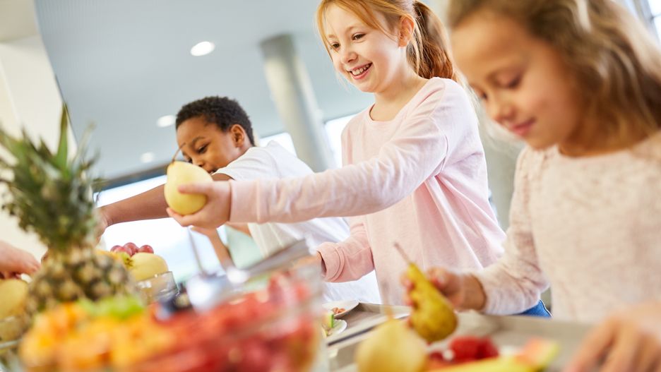 Students in elementary school get fresh fruit at the cafeteria's buffet
Robert Kneschke
buffet, school, canteen, cafeteria, children, kids, fruit, breakfast, lunch, pupil, kindergarten, health, fresh, eat, meal, elementary school, primary school, break, food, groceries, child, nutrition, caucasian, group, healthy, inside, class, friendship, portion, childhood, girl, boy, kitchen, elementary school students, together, school children, young, smile, happy, buffet, school, canteen, cafeteria, children, kids, fruit, breakfast, lunch, pupil, kindergarten, health, fresh, eat, meal, elementary school, primary school, break, food, groceries, child, nutrition, caucasian, group, healthy, inside, class, friendship, portion, childhood, girl, boy, kitchen, elementary school students, together, school children, young, smile, happy