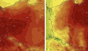 Gwałtowna zmiana. Nowa prognoza pogody dla Polski